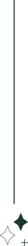 dekoratives Linien-Element mit kleinen Funkel-Symbolen